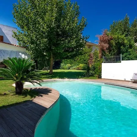 Tiny House With A Pool Apartment Athens